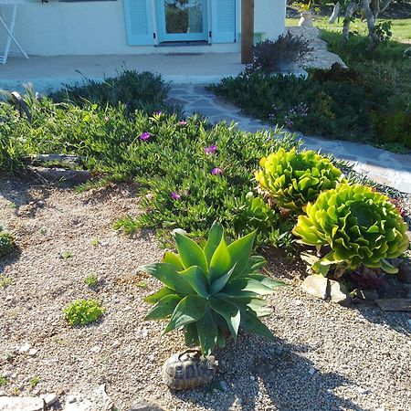 Lispusada Agriturismo Adults Only Biancareddu Экстерьер фото