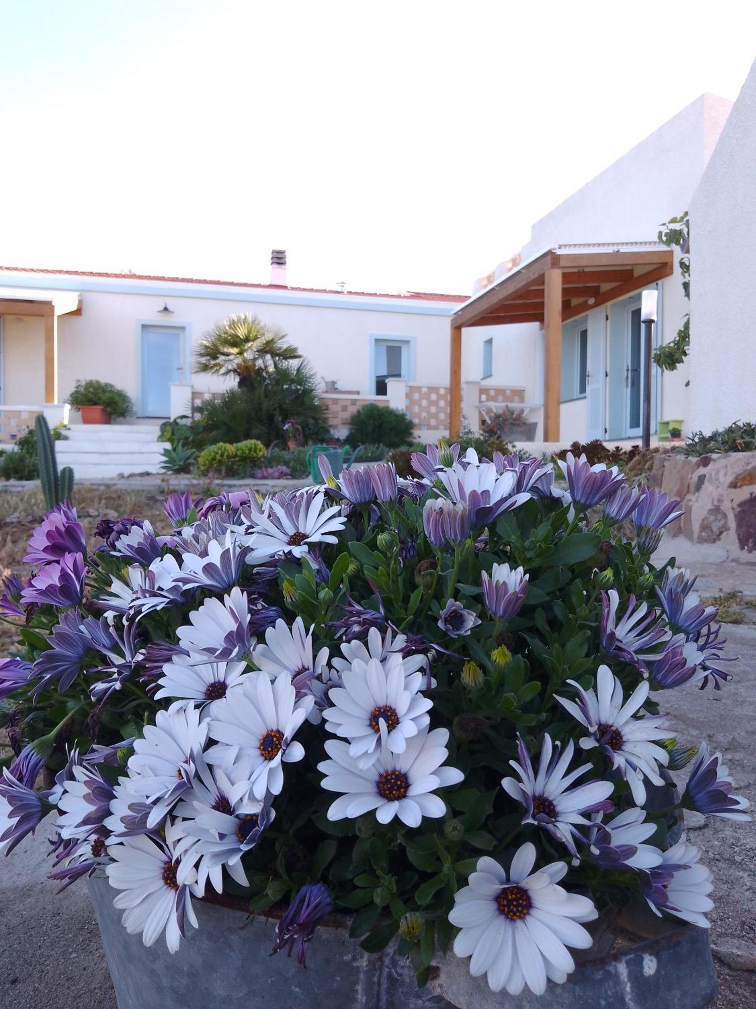 Lispusada Agriturismo Adults Only Biancareddu Экстерьер фото