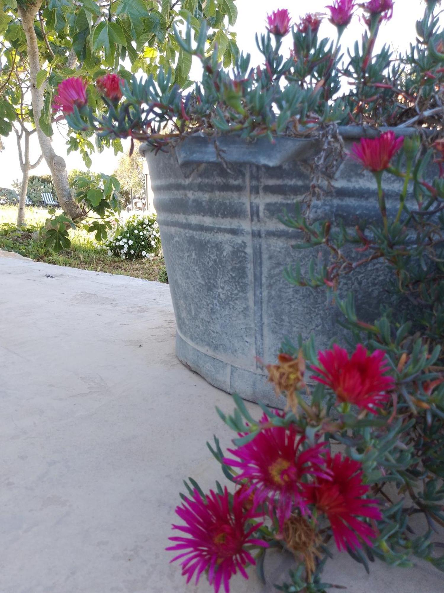 Lispusada Agriturismo Adults Only Biancareddu Экстерьер фото