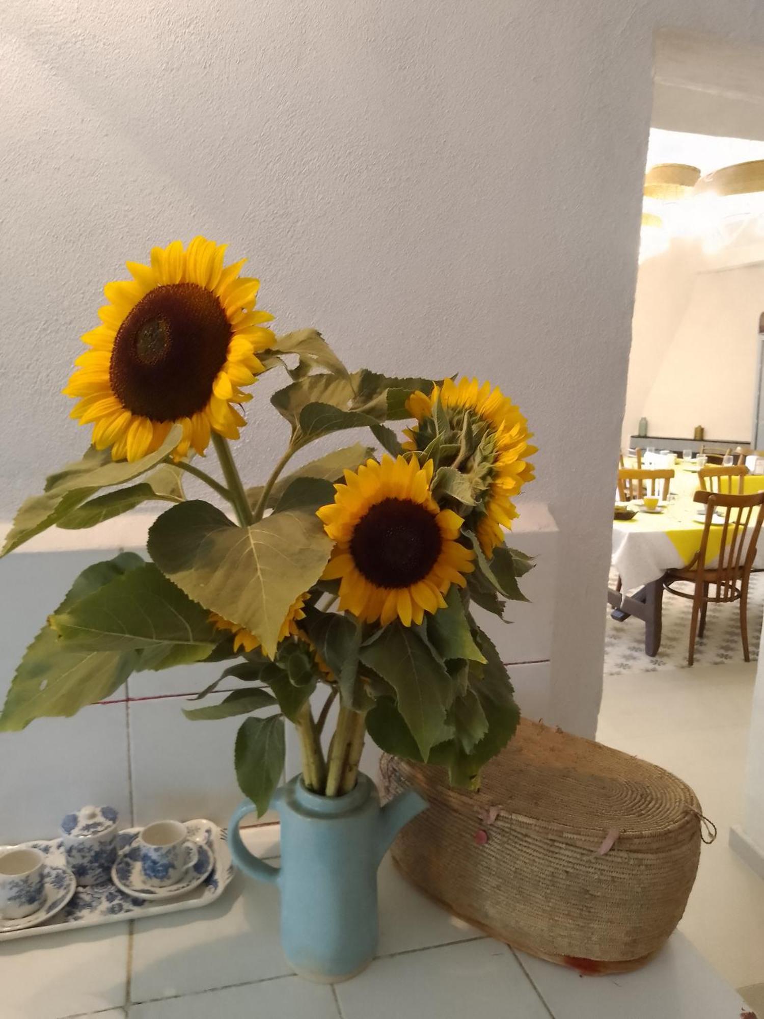 Lispusada Agriturismo Adults Only Biancareddu Экстерьер фото