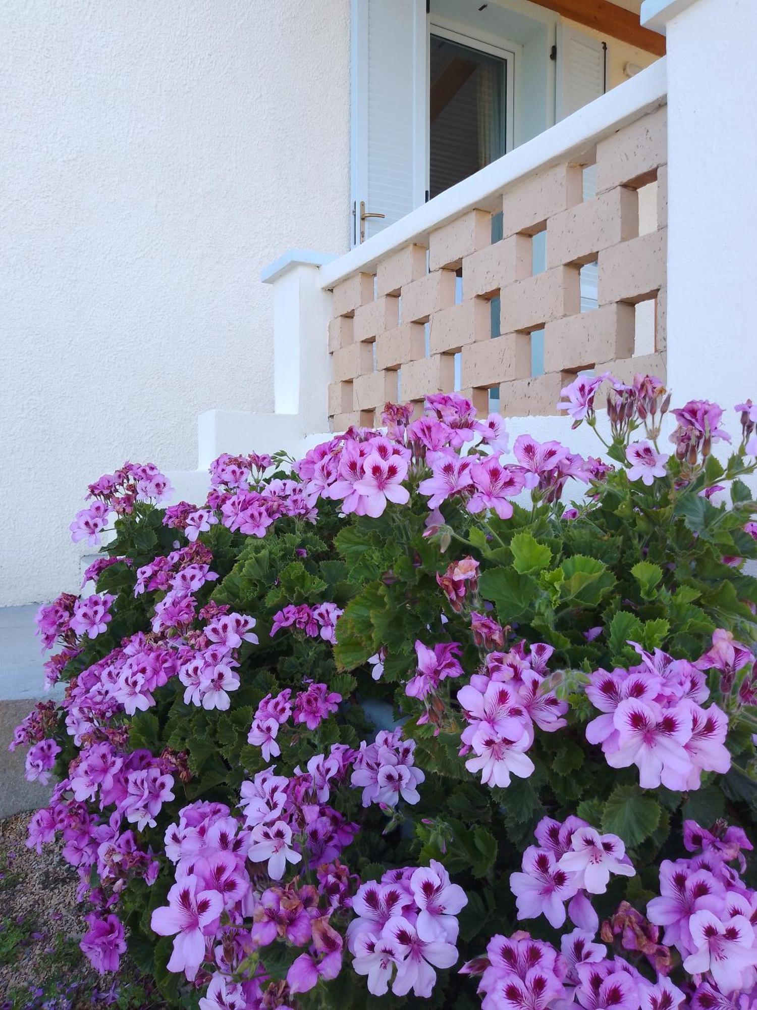 Lispusada Agriturismo Adults Only Biancareddu Экстерьер фото
