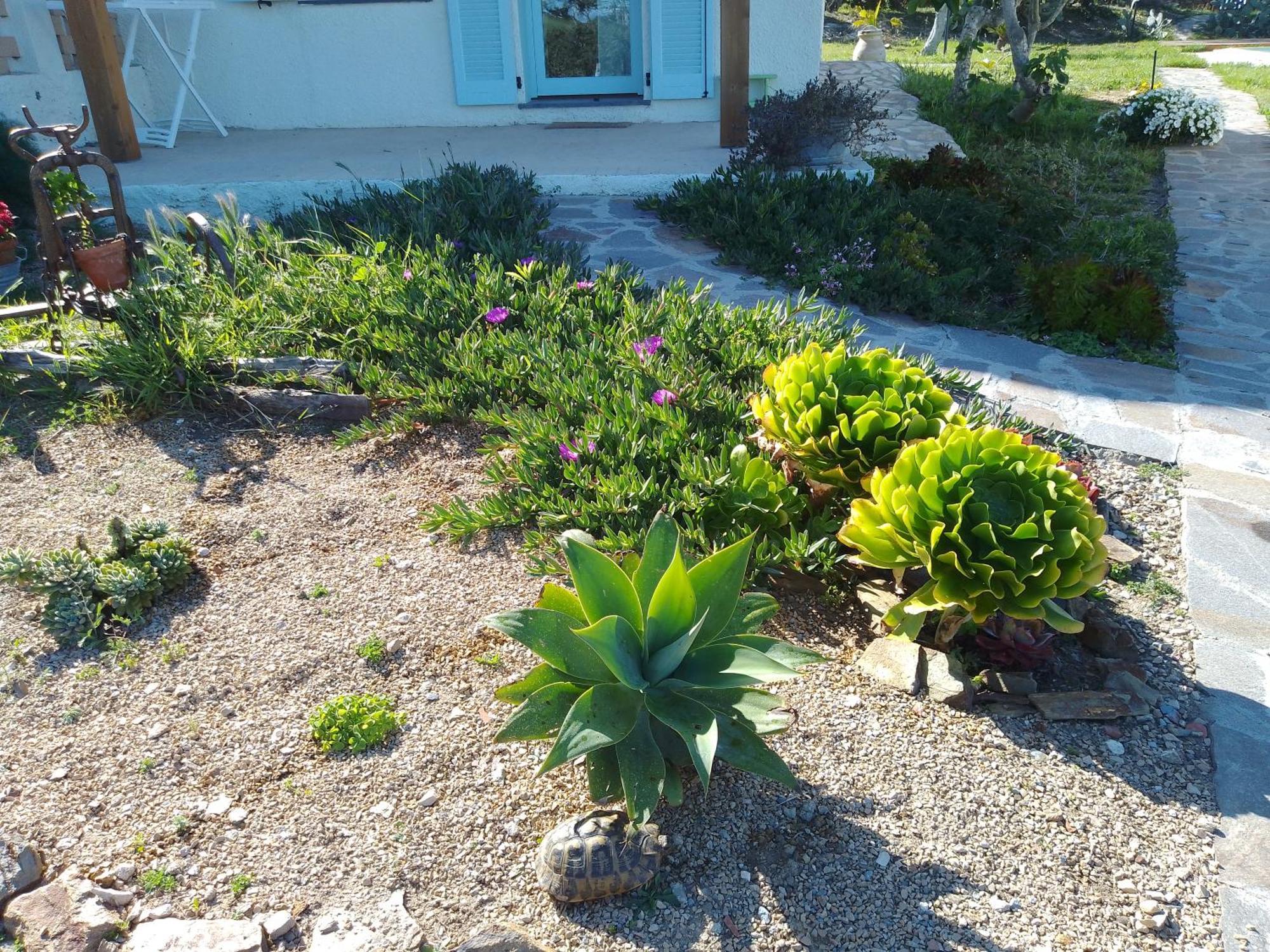 Lispusada Agriturismo Adults Only Biancareddu Экстерьер фото